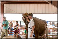 LCFAIR17-5868.jpg