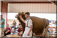 LCFAIR17-5869.jpg