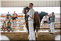 LCFAIR17-5870.jpg