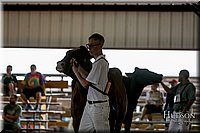 LCFAIR17-5871.jpg