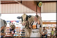 LCFAIR17-5875.jpg