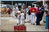 LCFAIR17-5882.jpg