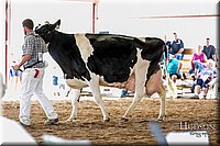 LCFAIR17-5889.jpg