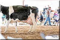 LCFAIR17-5890.jpg