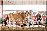 LCFAIR17-5892.jpg