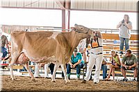 LCFAIR17-5896.jpg