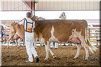 LCFAIR17-5897.jpg