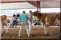 LCFAIR17-5899.jpg