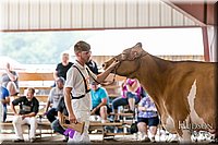 LCFAIR17-5905.jpg