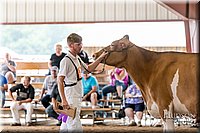 LCFAIR17-5906.jpg