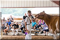 LCFAIR17-5907.jpg