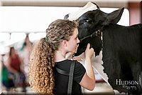 LCFAIR17-5943.jpg