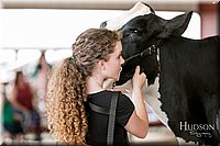 LCFAIR17-5944.jpg