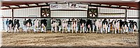 LCFAIR17-5966.jpg