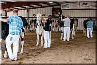 LCFAIR17-5973.jpg