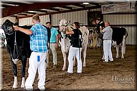 LCFAIR17-5977.jpg