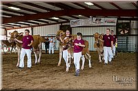 LCFAIR17-5989.jpg