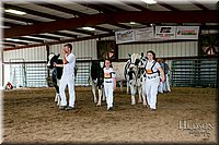 LCFAIR17-5991.jpg