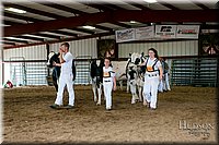 LCFAIR17-5992.jpg