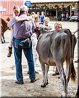 LCFAIR17-6121.jpg