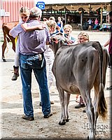 LCFAIR17-6122.jpg