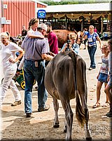 LCFAIR17-6124.jpg