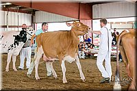 LCFAIR17-6130.jpg