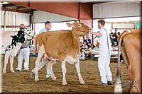 LCFAIR17-6131.jpg