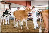 LCFAIR17-6133.jpg