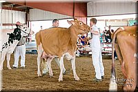 LCFAIR17-6134.jpg