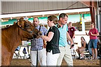 LCFAIR17-6139.jpg