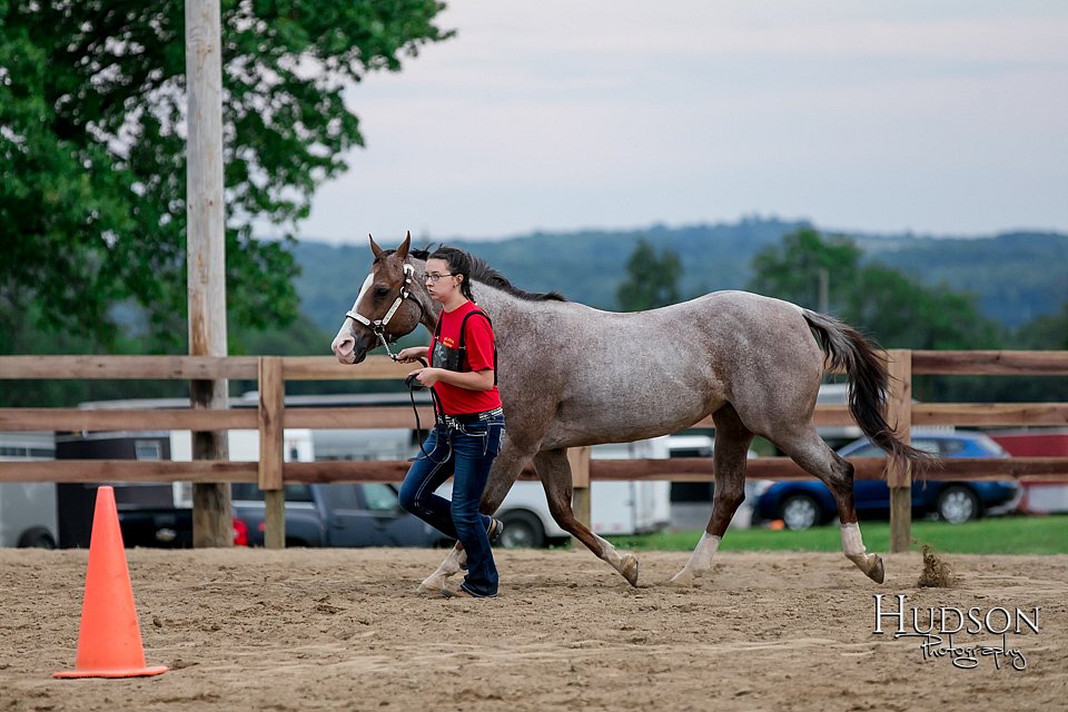 LCFAIR17-6404.jpg