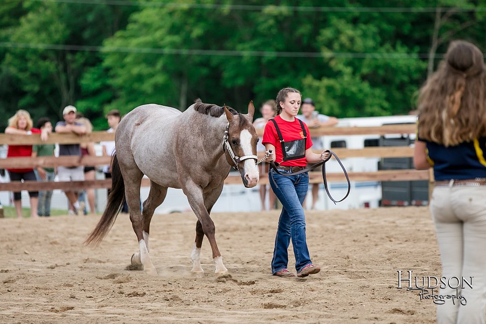 LCFAIR17-6415.jpg