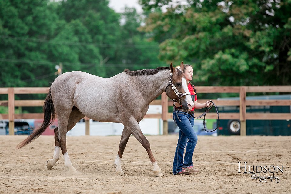 LCFAIR17-6416.jpg