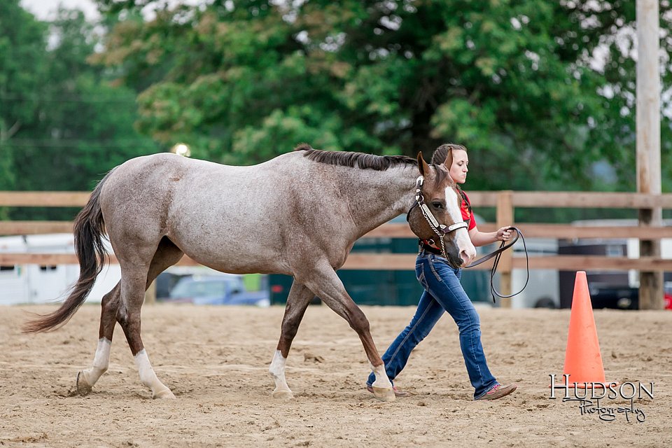 LCFAIR17-6417.jpg