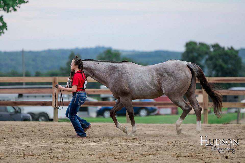 LCFAIR17-6418.jpg