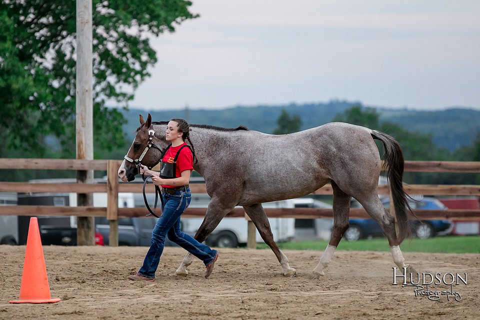 LCFAIR17-6419.jpg