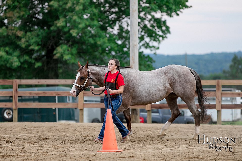 LCFAIR17-6420.jpg