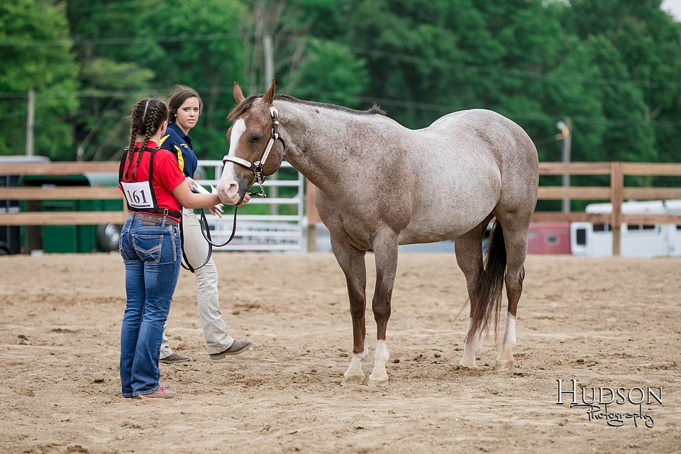 LCFAIR17-6426.jpg