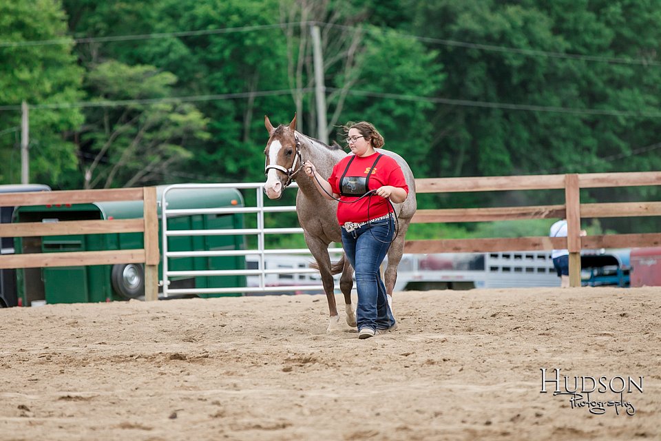 LCFAIR17-6431.jpg