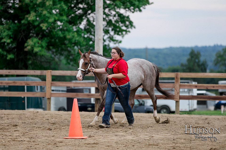 LCFAIR17-6437.jpg