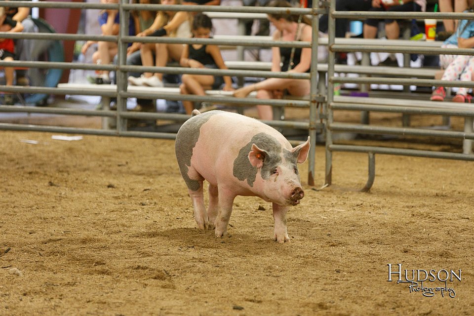 LCFAIR17-6444.jpg