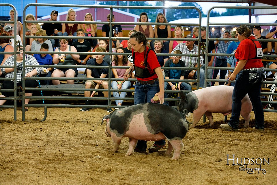 LCFAIR17-6450.jpg