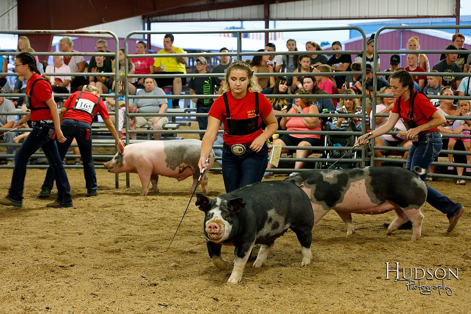LCFAIR17-6453.jpg