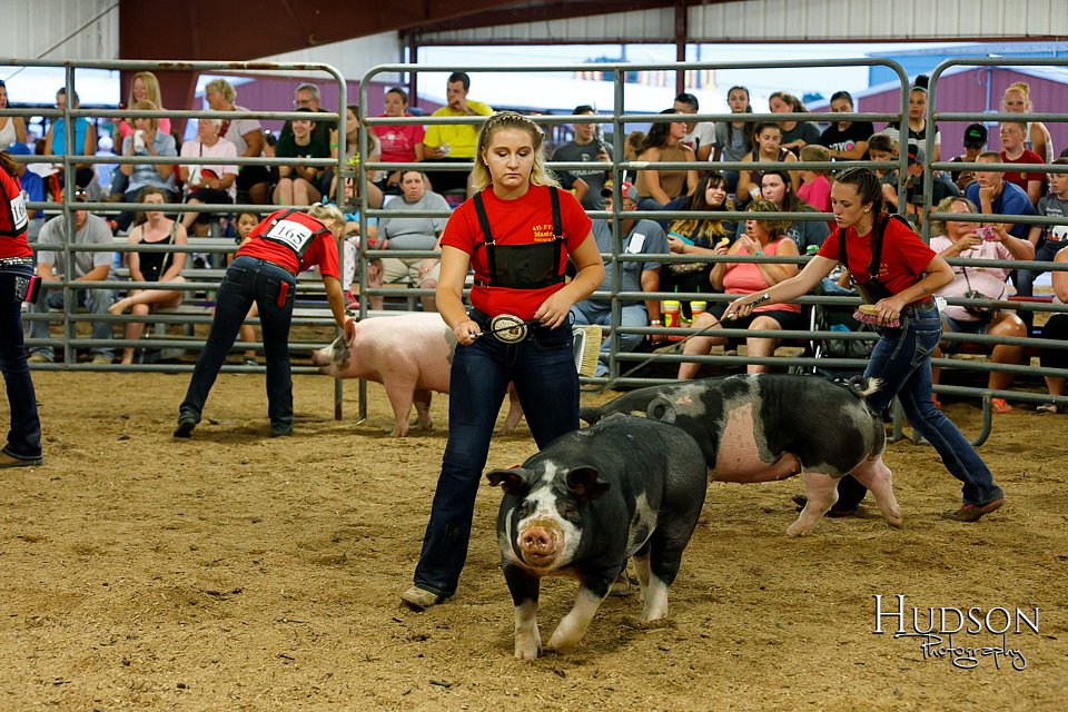 LCFAIR17-6454.jpg