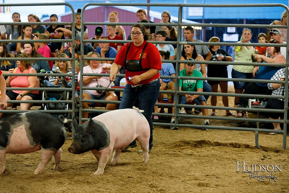 LCFAIR17-6455.jpg