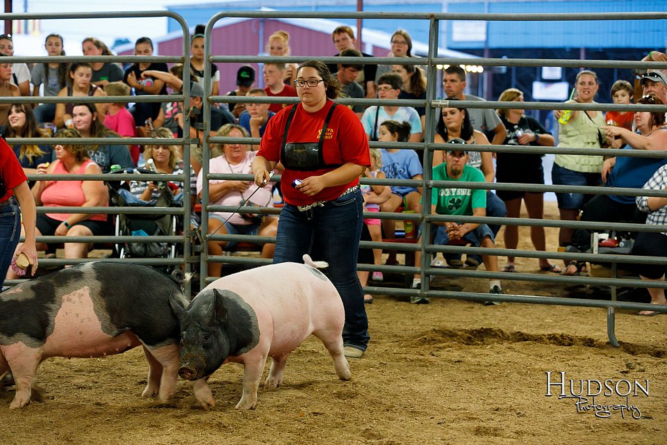 LCFAIR17-6456.jpg