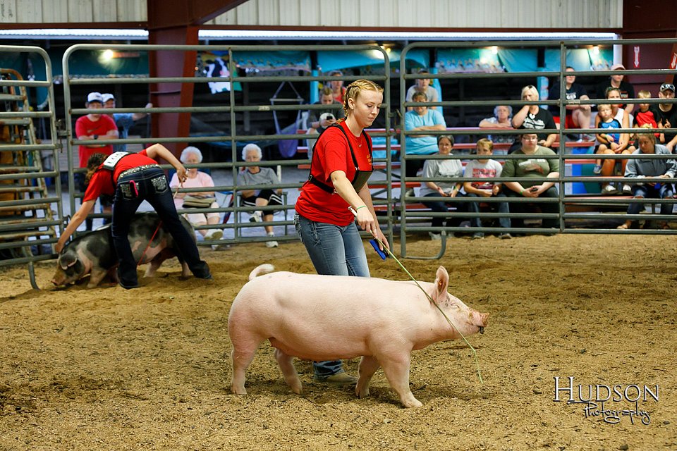 LCFAIR17-6457.jpg