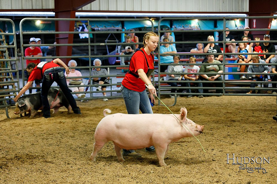 LCFAIR17-6458.jpg