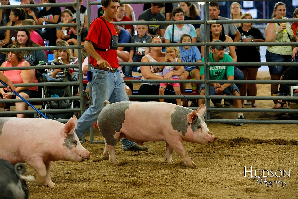LCFAIR17-6460.jpg